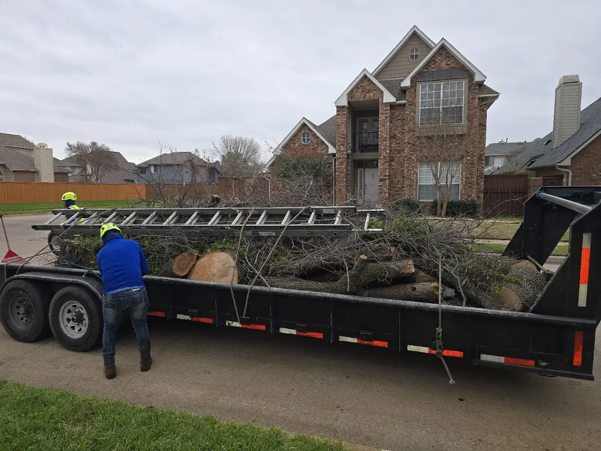 Expert Tree Removal with proper safety equipment in Winona